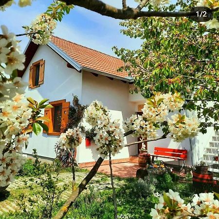 Hotel Kuca Za Odmor "Dva Srca" Ceminac Esterno foto